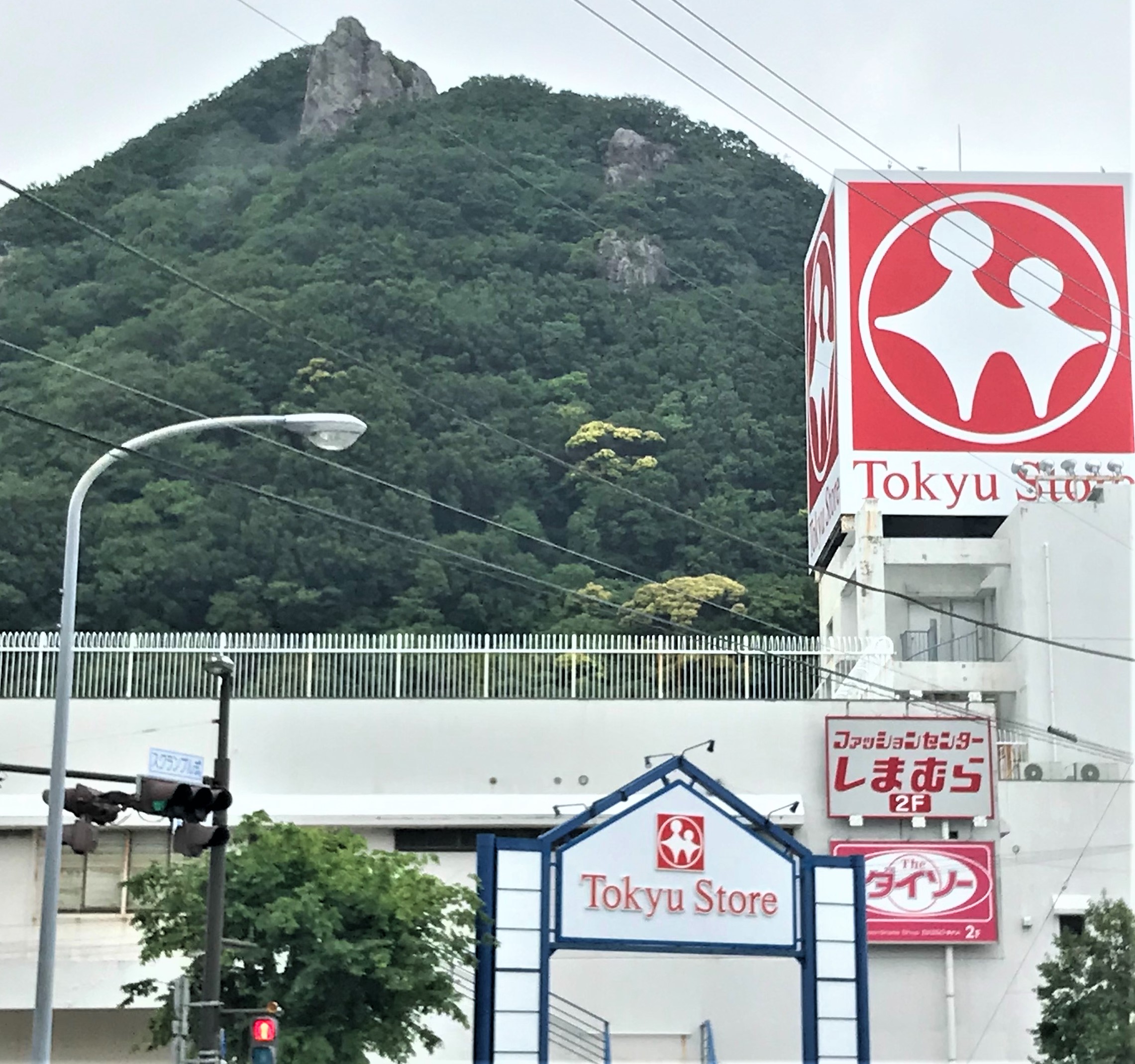 下田とうきゅう・東急ストア