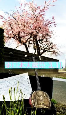 エール～3・11 東日本大震災から10年。届け妙なる調べ～・紫蘭