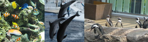 京都水族館